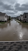 DRAINEX Drain Cleaning Powder